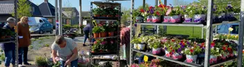 Bloemetjesmarkt